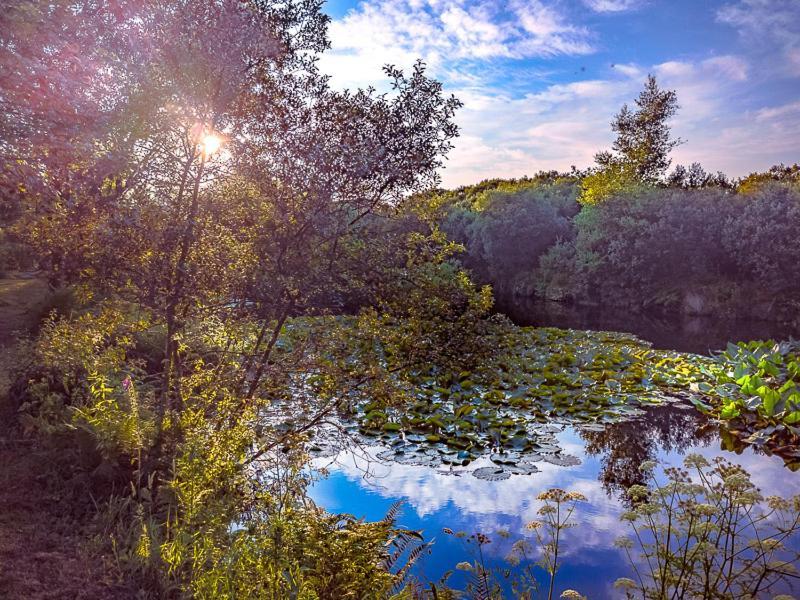 Trecombe Lakes Camborne Exteriör bild