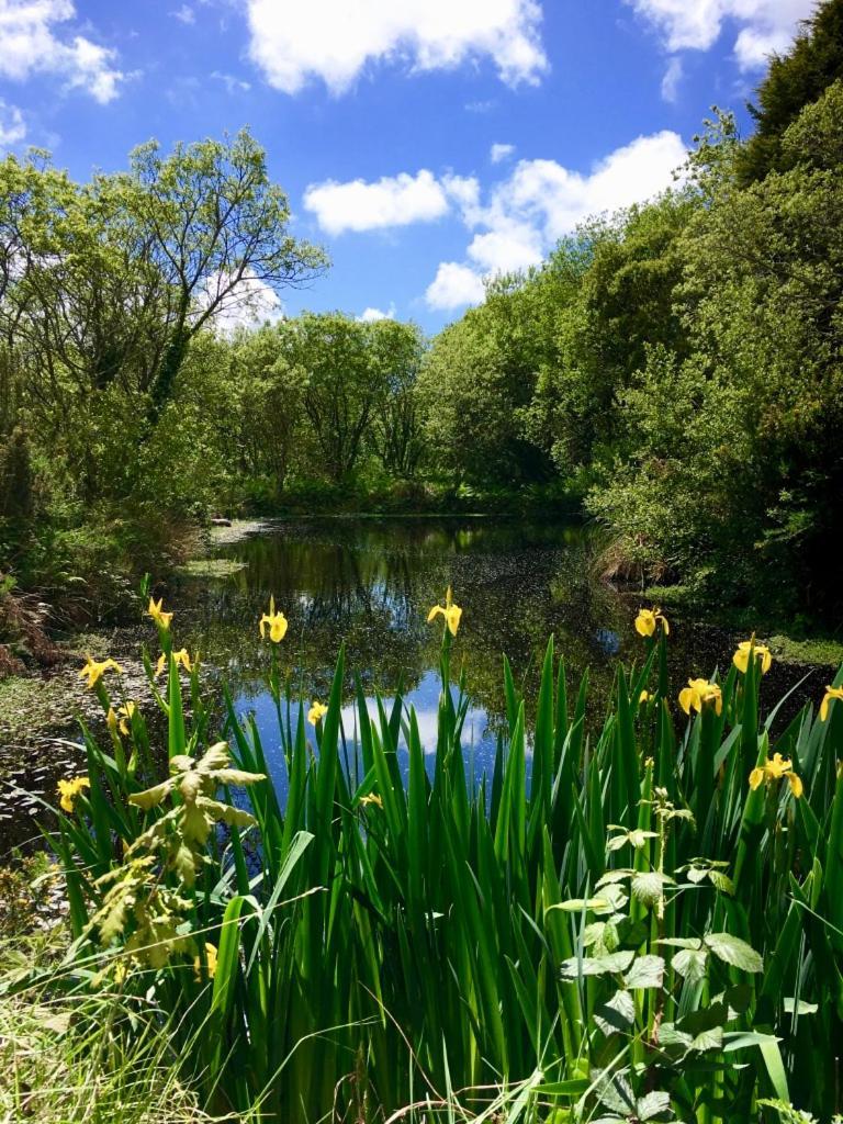 Trecombe Lakes Camborne Rum bild